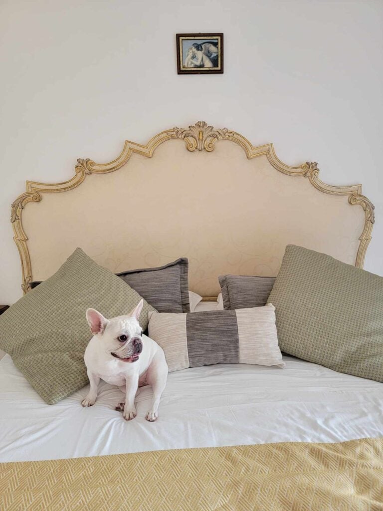 A french bulldog on the bed at Villa Amore Ravello