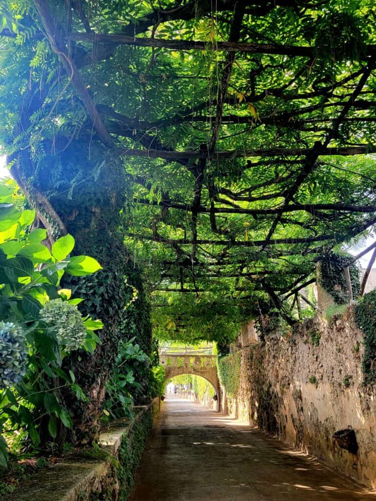 Stone walls with a covering trellis of wisteria at the Villa Cimbrone gardens