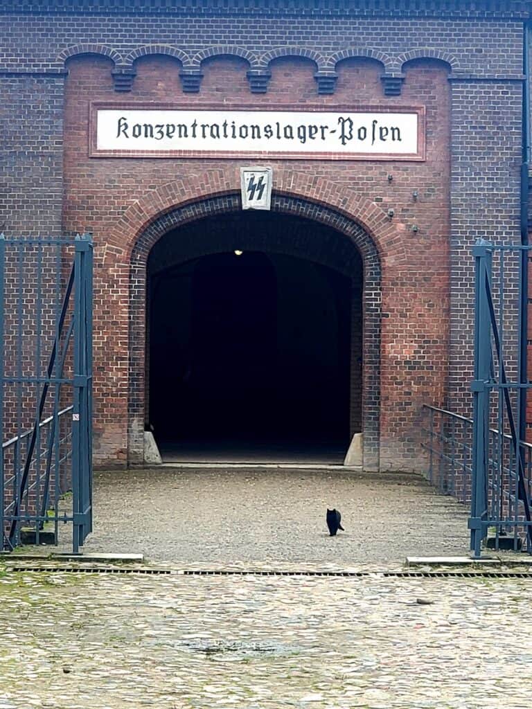 An arched gate with a dark entrance and the words "konzentrationslager-Polen". A black cat walks out of the doorway