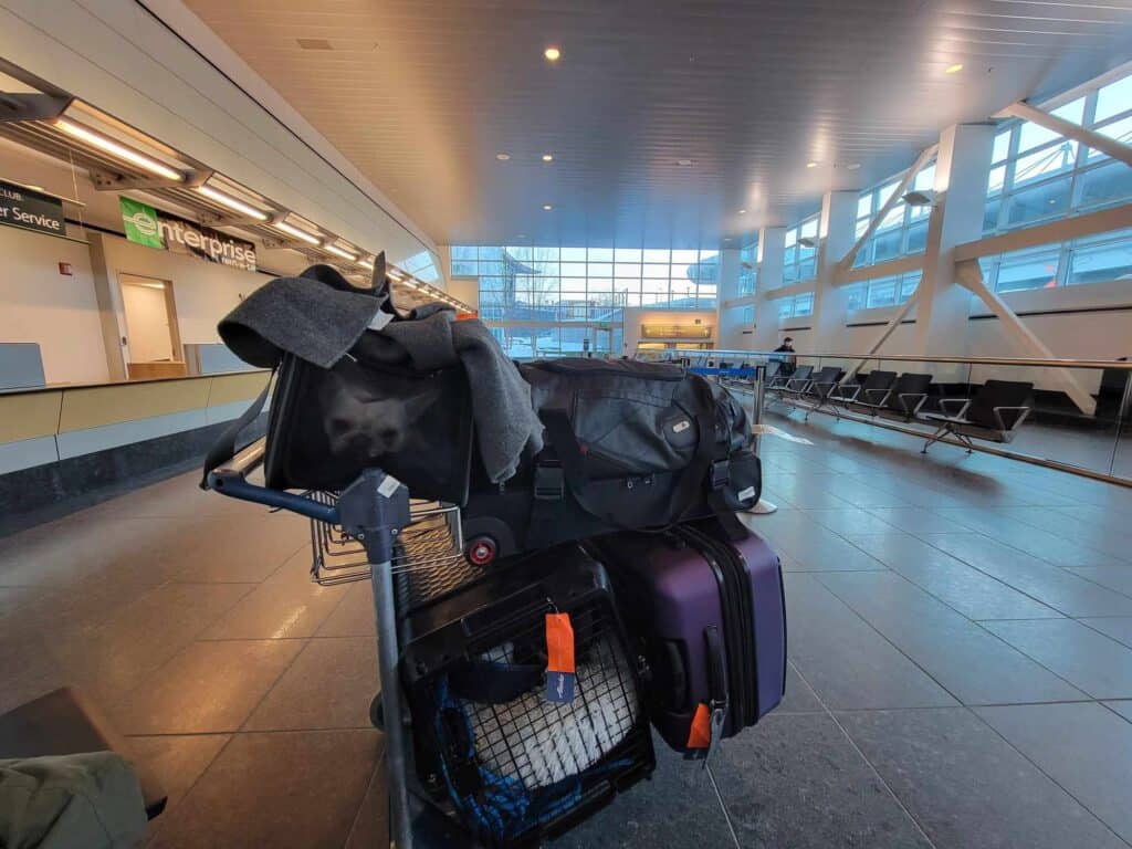 A luggage cart full of luggage including a french bulldog in a carrier.