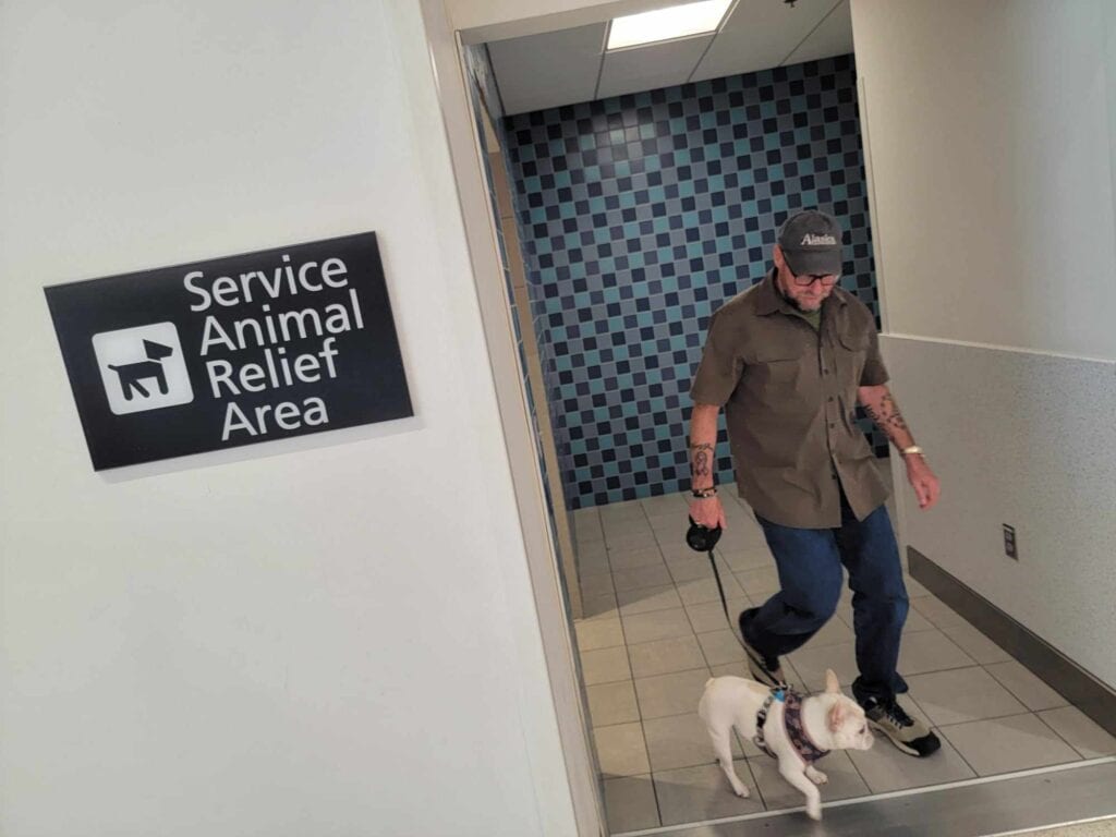 A man and a dog exiting the pet relief area in an airport before flying