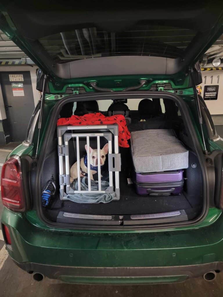 A dog in a carrier in the trunk of a car with suitcases