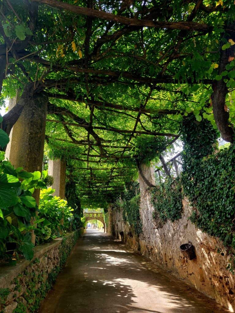 Wisteria tunnel in Villa Cimbrone gardens