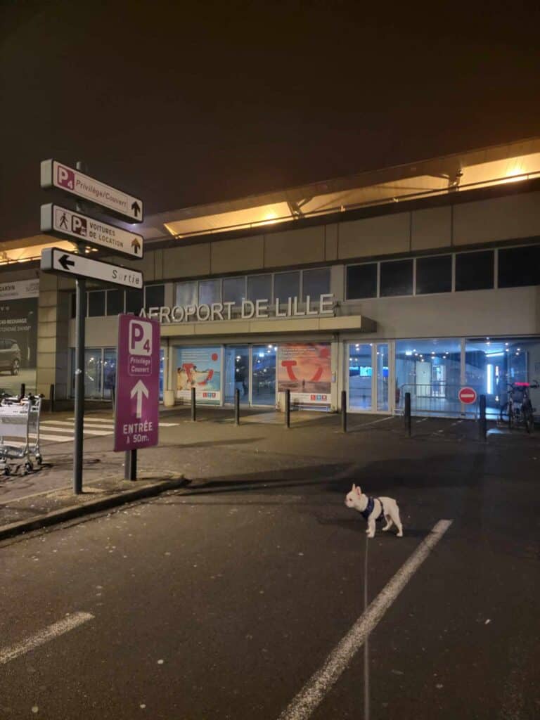 A small white dog outside the Lille Airport