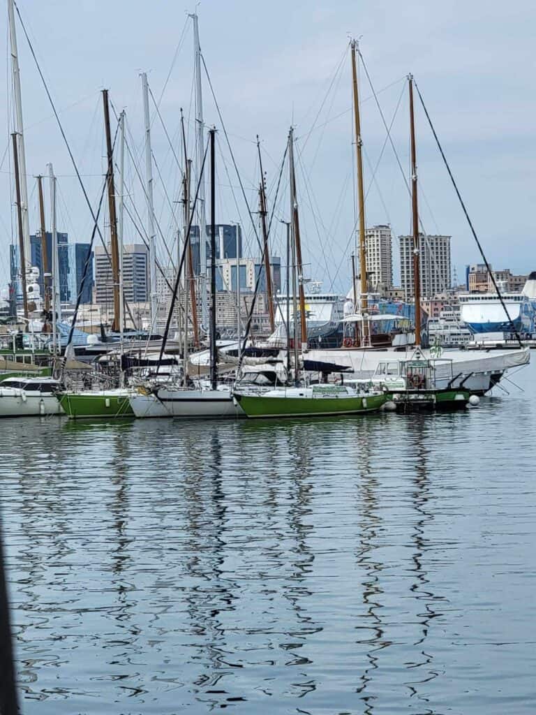 A group of sailboats moored in the harbor on a cloudy day