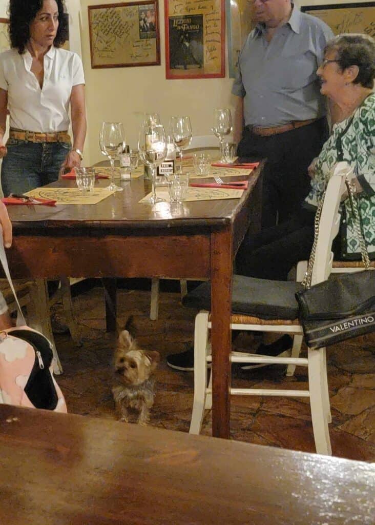 Three people around a wooden table with a small Yorkie dog standing underneath