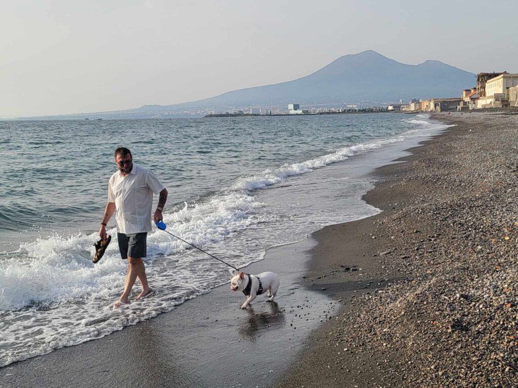 A man walking a french bulldog on the dark sand at waterline with Mount Vesuvius in the background