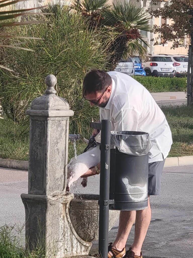 A man holding a french bulldog and rinsing her under a stream of water coming from a small stone fountain