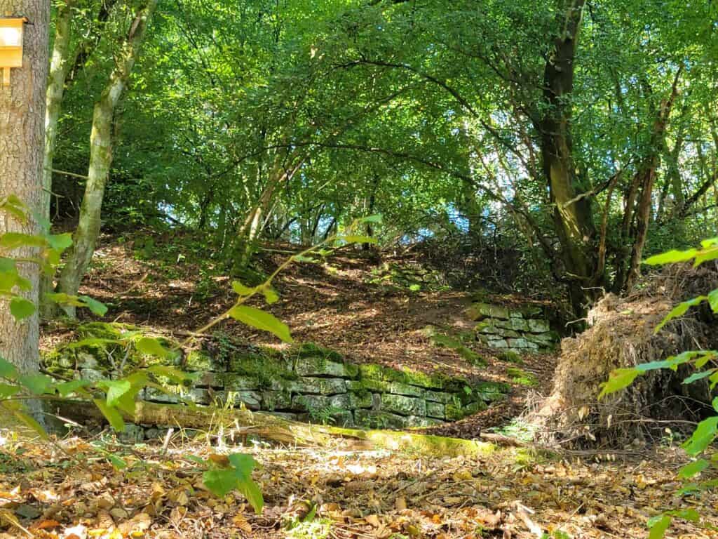 A moss covered ruin of a stone wall in the forest