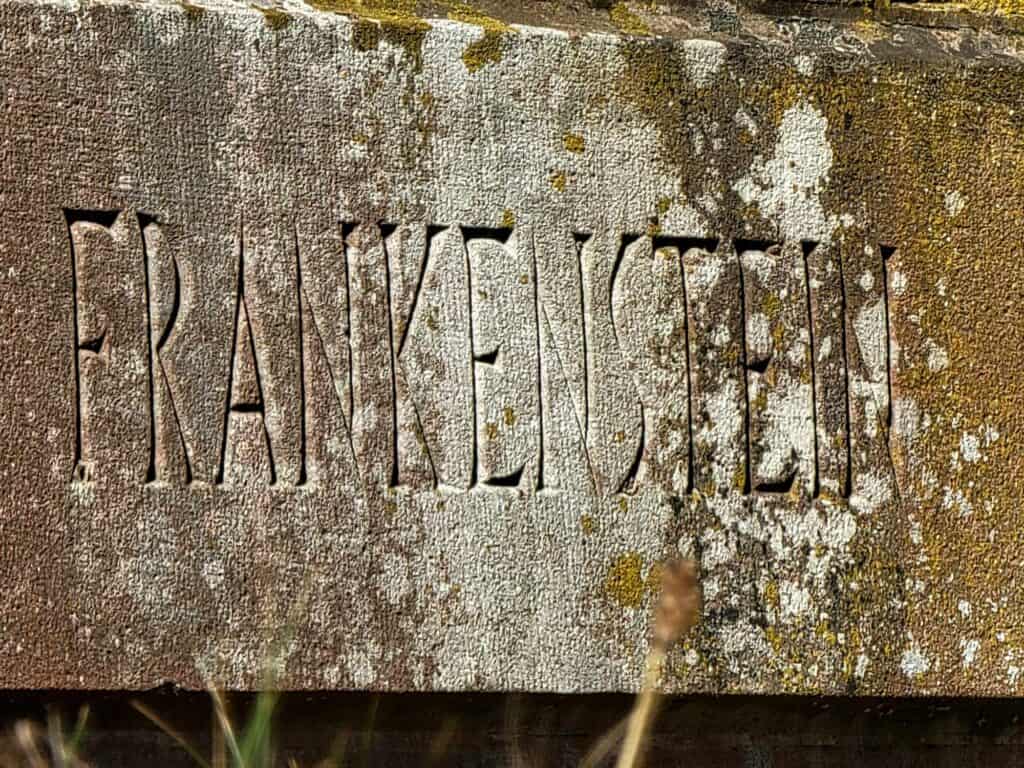 A stone slab covered with moss and lichen and the word FRANKENSTEIN carved in it