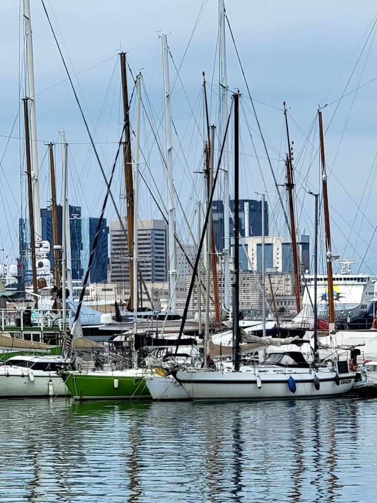 Several white sailboats with a green sailboat in the middle. Water with reflections in the foreground and a city skyline in the background