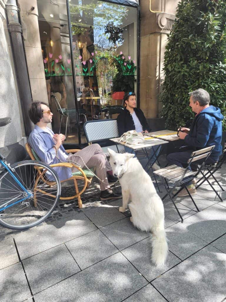 Three men sit around a table in an outdoor café. A large white dog sits next to them.