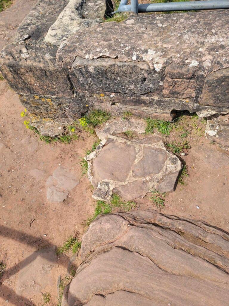 A piece of stone flooring in the dirt surrounded by a low foundation wall