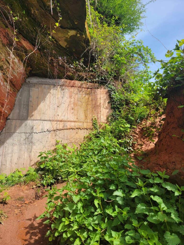 A cement fortification wall with a very narrow pathway surrounded by stinging nettles