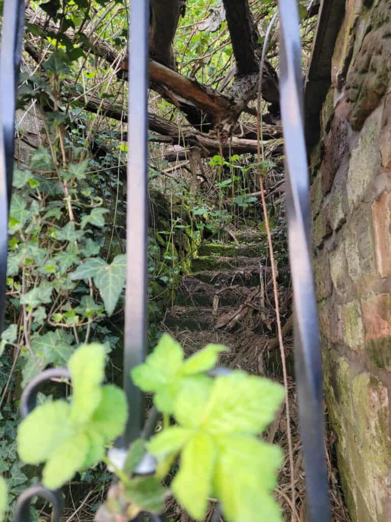 Looking through the bars of a gate at a steep narrow stone staircase climbing through dense vegetation