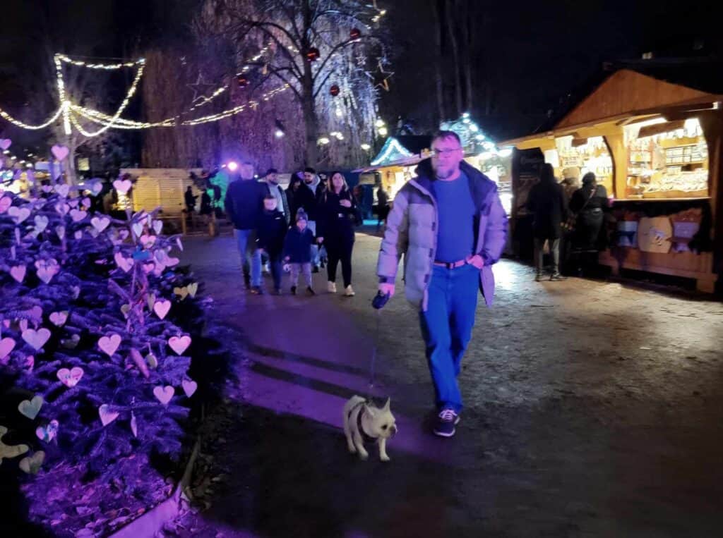 A man walks a white frenchie down a path bathed in purple light with decorated trees and market stalls behind