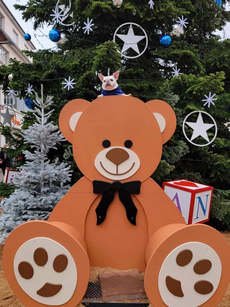 A small white french bulldog peeks over the top of a huge brown teddy bear Christmas decoration