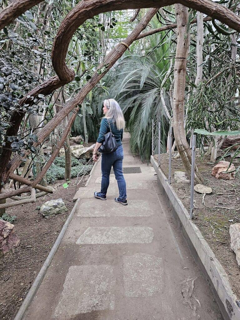 A woman walking down a path with tropical plants on either side