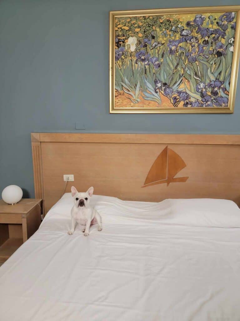 A white french bulldog sitting on a made bed with white linens and Van Gogh's Irises framed above the headboard