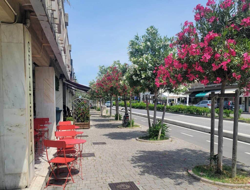 A wide cobblestone sidewalk with red cafe tables and chairs and flowering trees