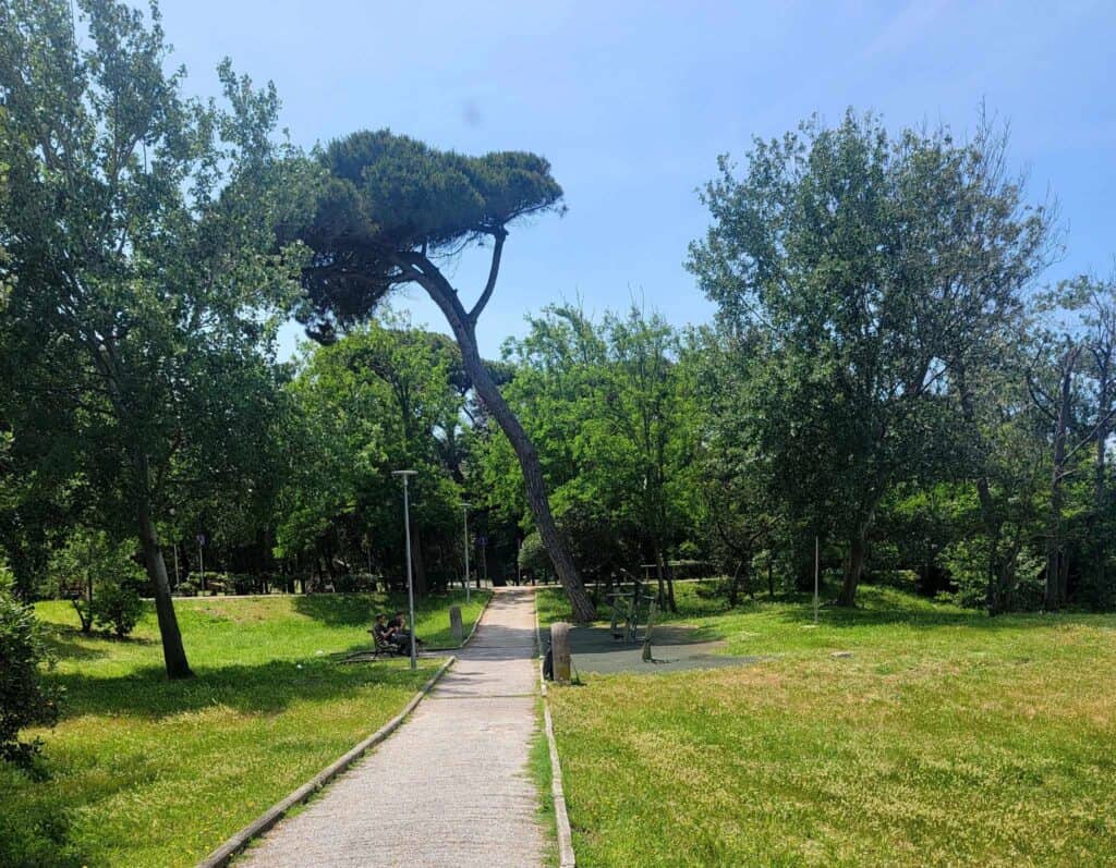 A paved pathway leading into a green area with trees and grass