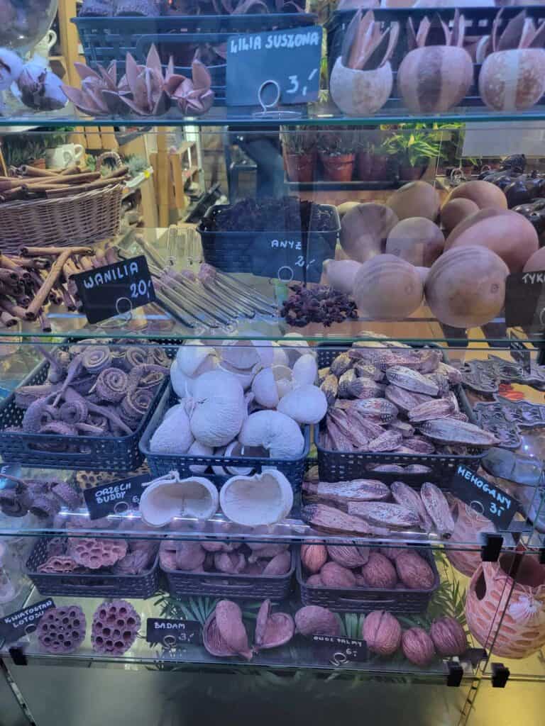 Dried botanicals, large seeds, coconut shells in a class display case