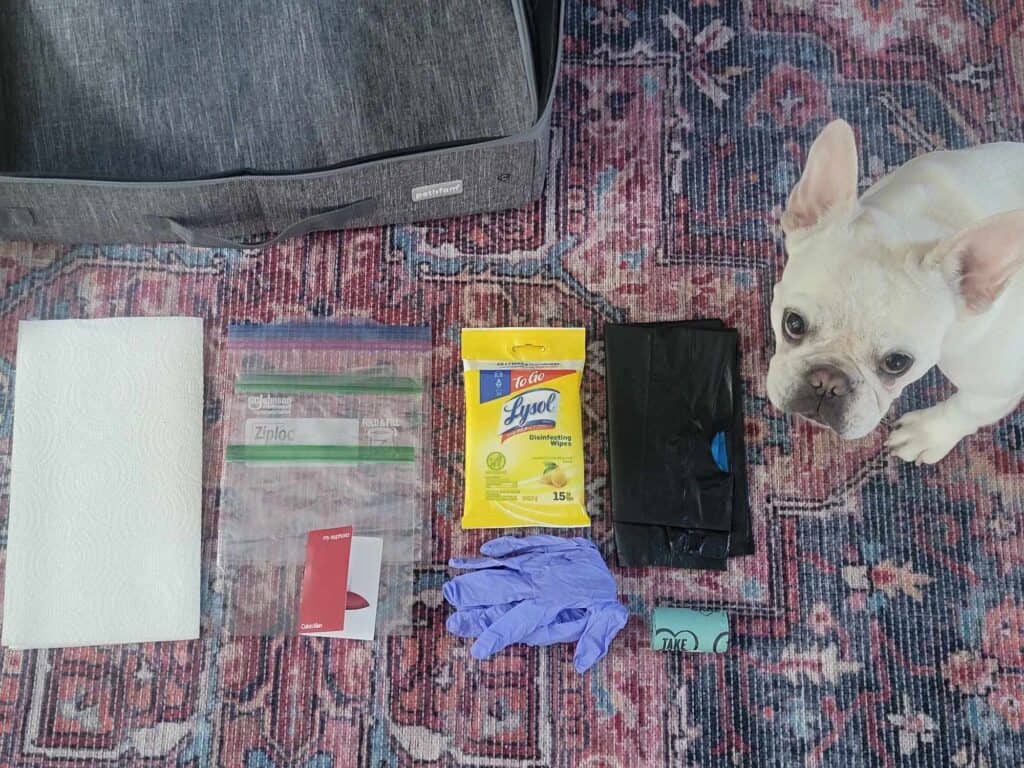 A french bulldog looking at the camera with the contents of a "cleanup kit" on the floor