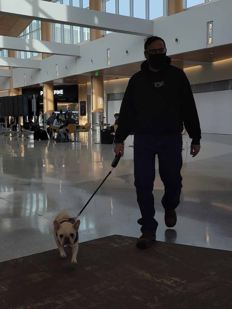 A man walking a french bulldog through the airport