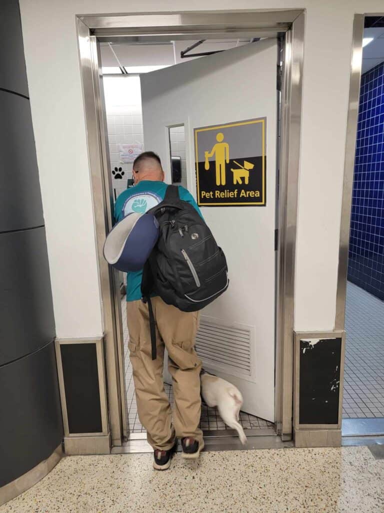 A man brings a small white dog through a door marked Pet Relief Area