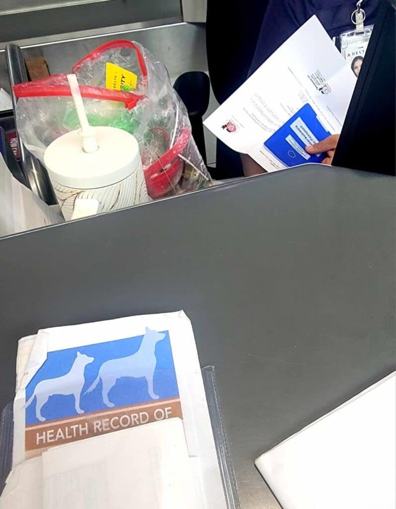 An airplane counter at check-in showing health records for a dog sitting on the counter and the agent holding a letter and a European pet passport