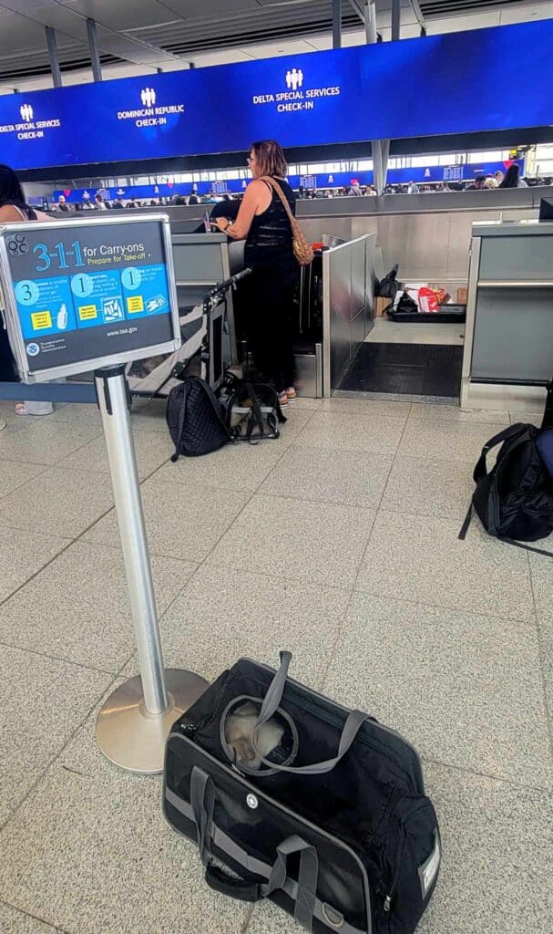 A woman checks in an in-cabin pet at Delta Airlines while another pet waits in a carrier to be called