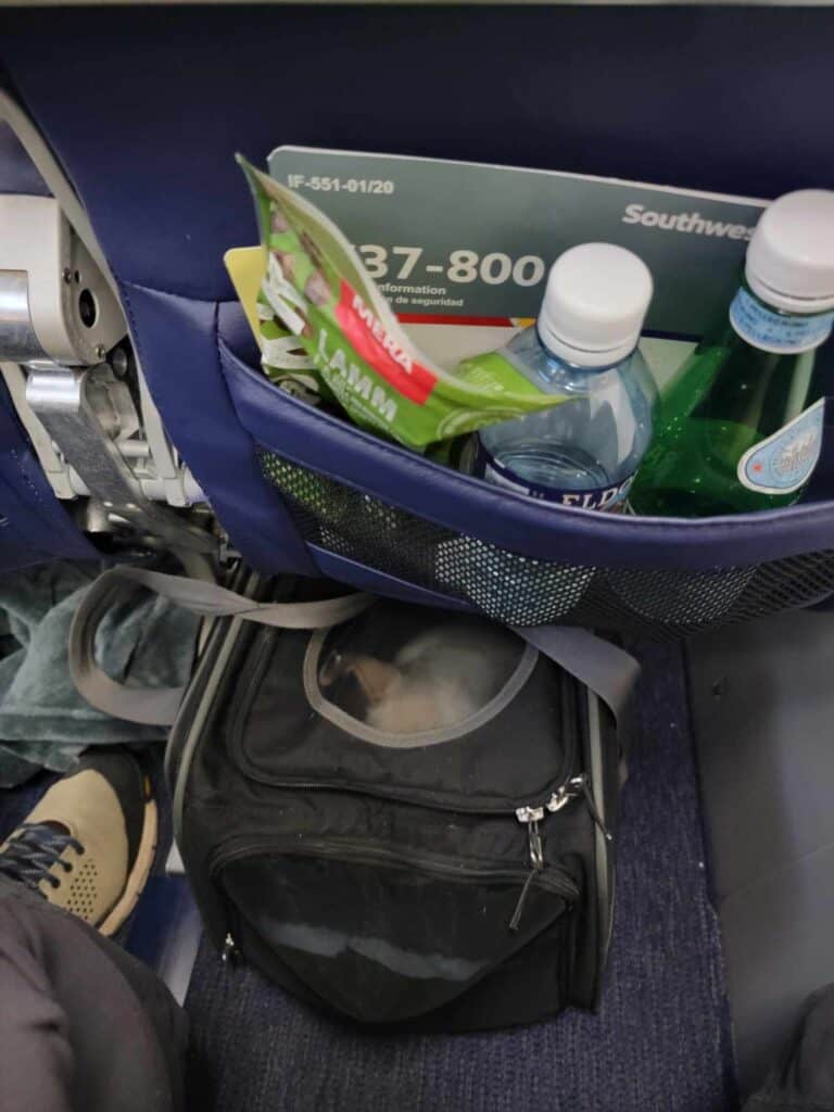 An airline seat with a bunch of stuff in the seat pocket and a french bulldog napping in a black carryon bag under the seat