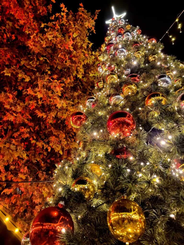 An illuminated Christmas tree with another tree lit up in red behind it