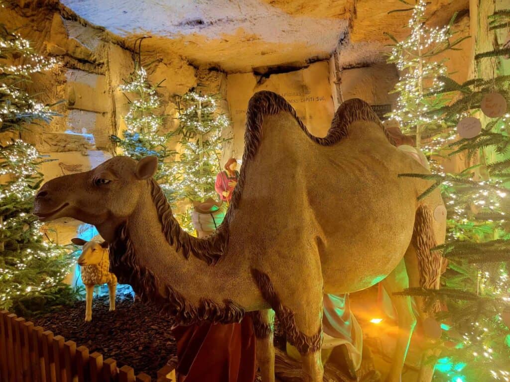 A large camel in a limestone cave with Christmas trees lit behind