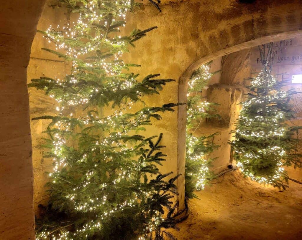 Christmas trees with white lights in a limestone cave with arches