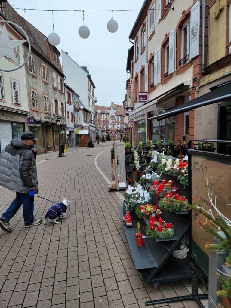 A man walks a frenchie on a leash down a decorated street. A florist is on the right with Christmas decorations on the street