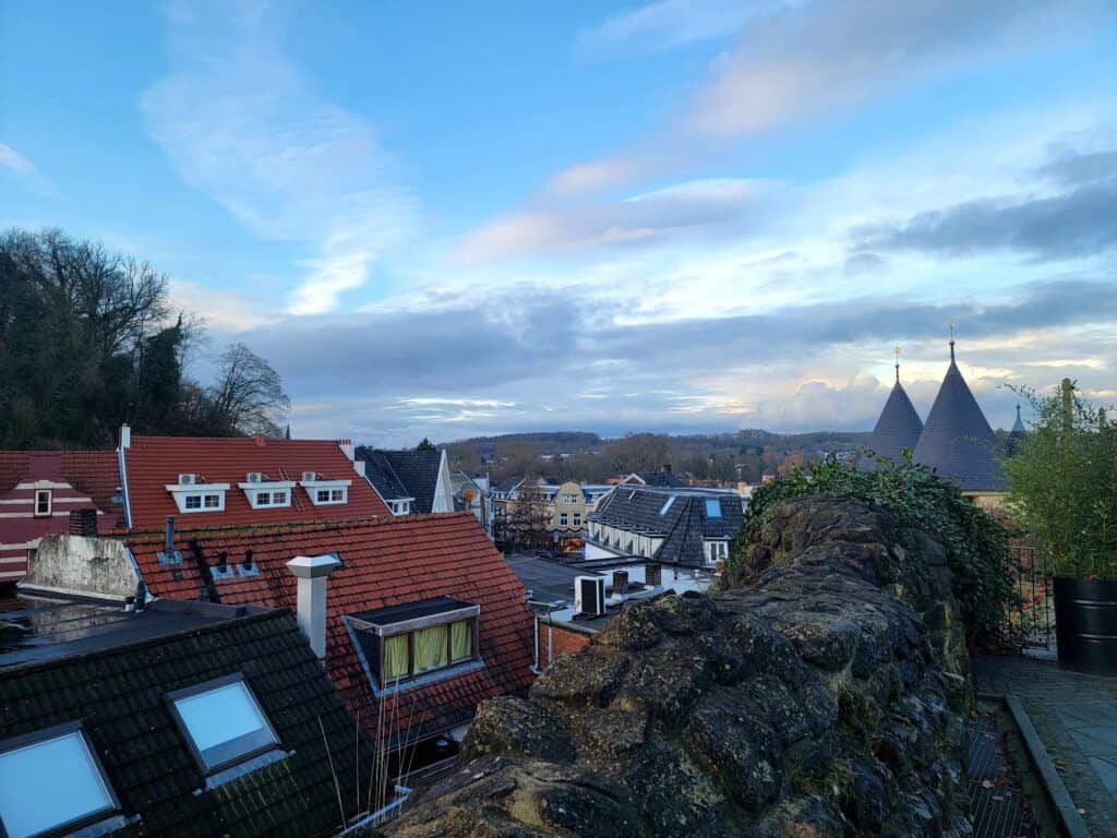 A view of rooftops and trees