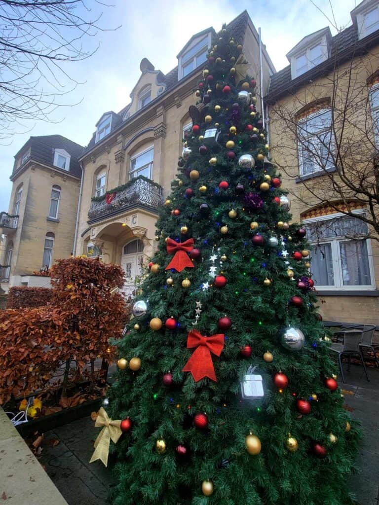 A large decorated Christmas tree in front of an ornate building