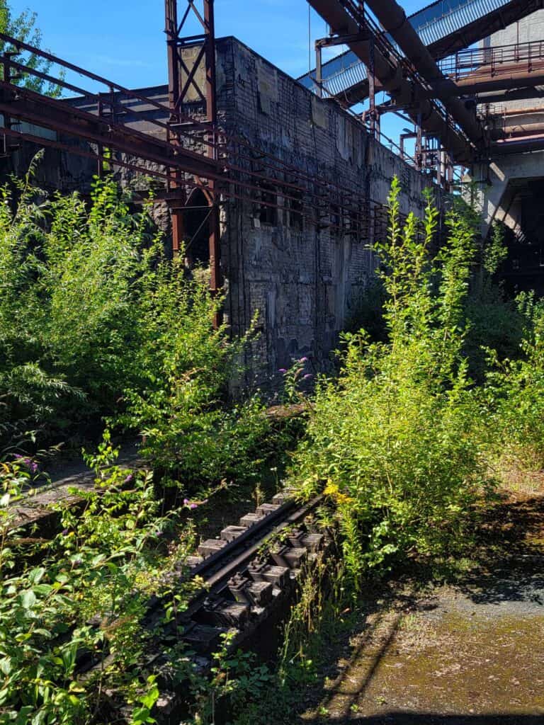 Green bushes growing out of a train track by the ironworks