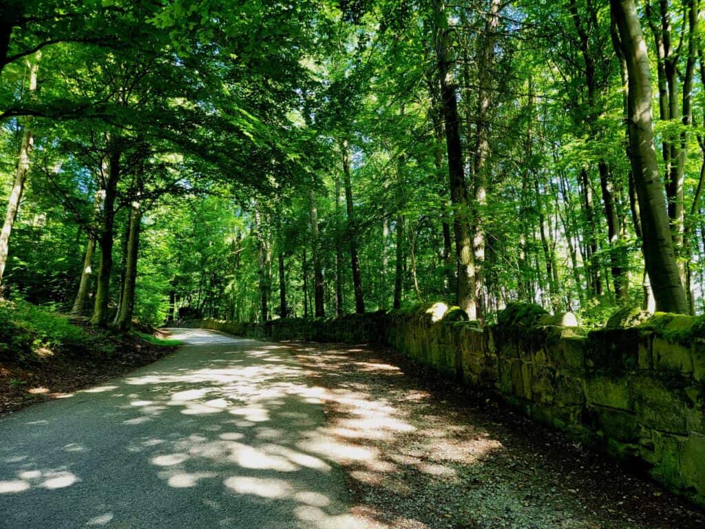 A beautiful dappled green road leading up to the castle with a stone wall on the right