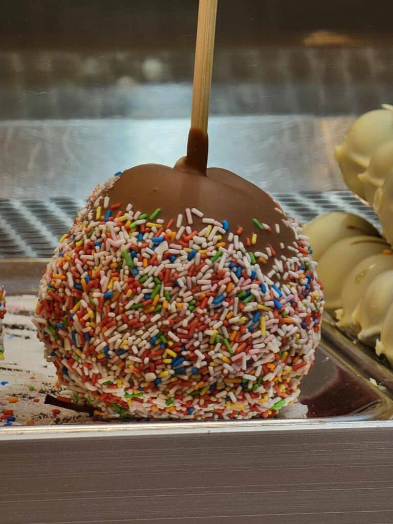 A chocolate covered apple with rainbow sprinkles