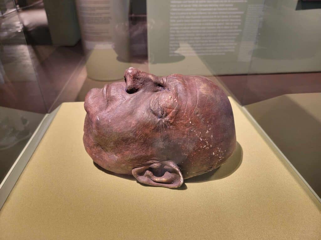 A brown life mask of an old man