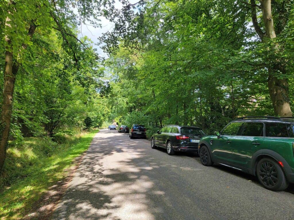 Cars parked under trees on the side of the road