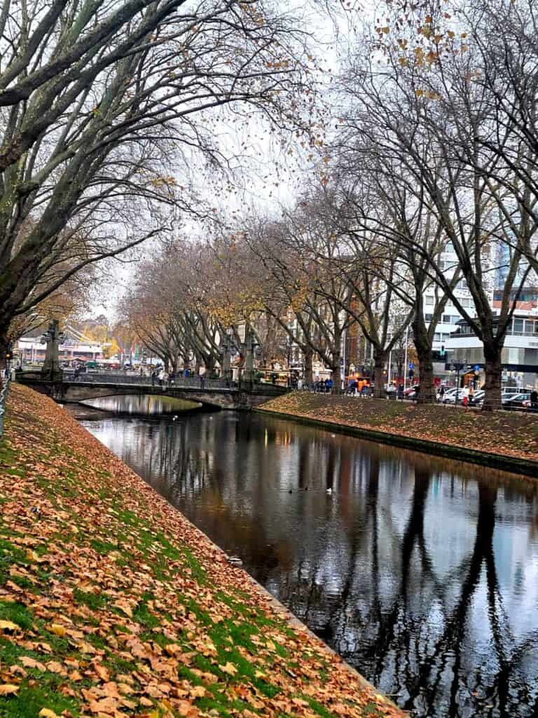 A canal with trees on either side. Yellow leaves on green grass