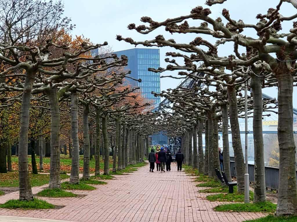 People walking on a bricked path between fruit trees with a modern office building in the background