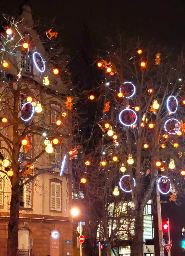 Trees lit with illuminated rings and hanging bulbs