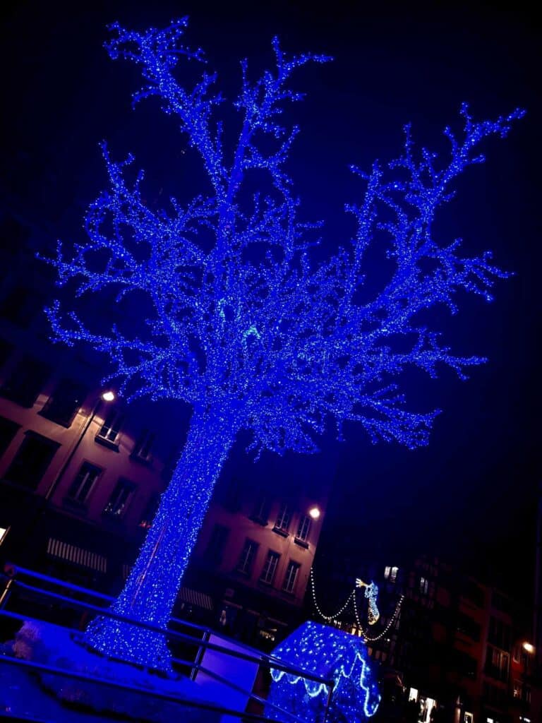 A tree completely covered in blue lights