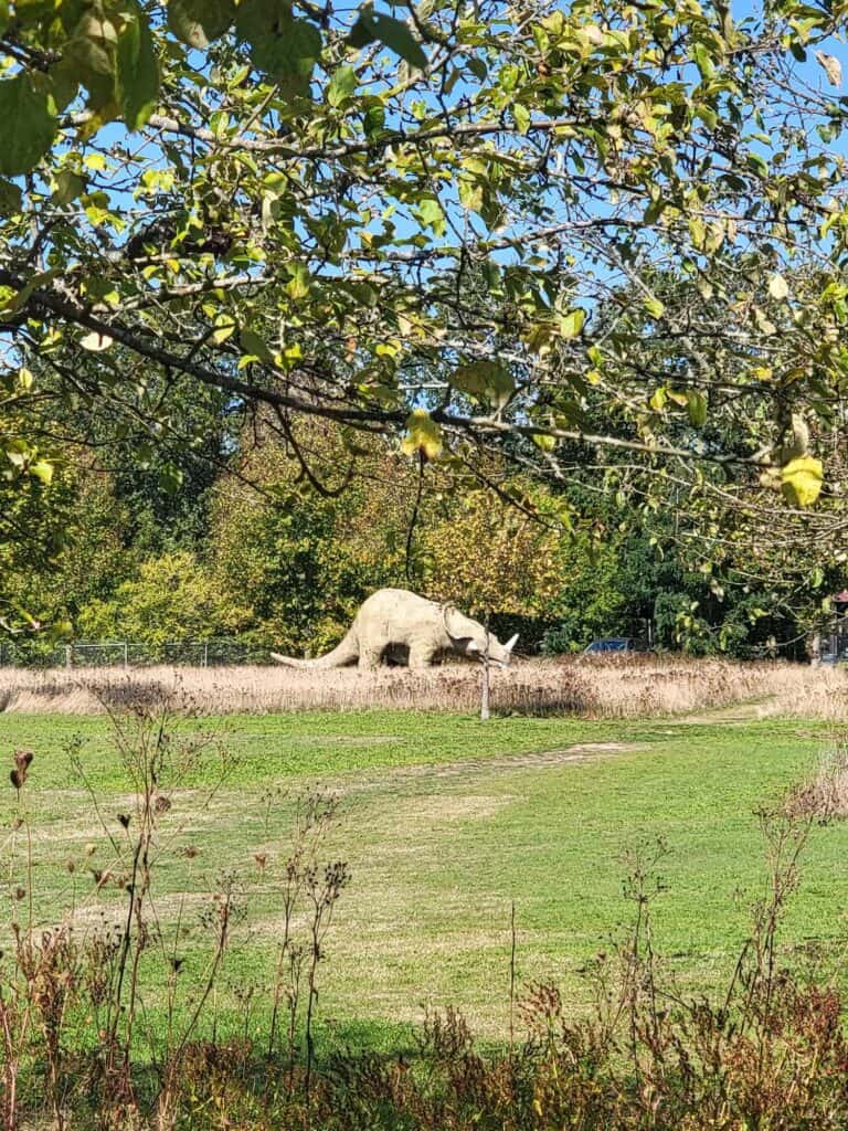 A triceratops in an apple orchard