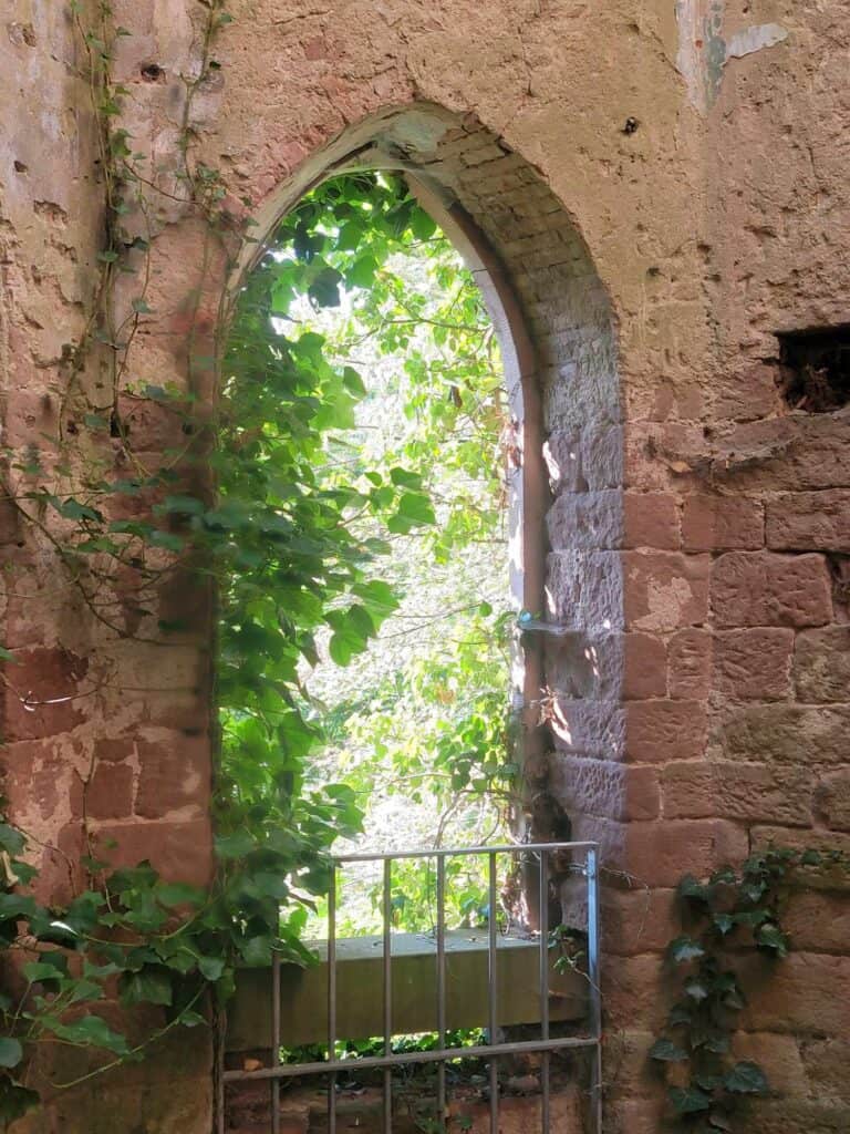 A gothic window with ivy growing and trees