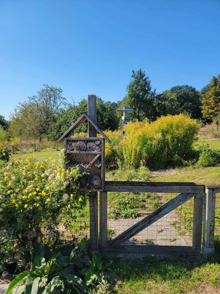 An insect house on a fence with a gate leading to a garden